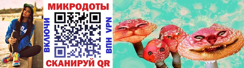 Псилоцибиновые грибы Psilocybine cubensis Купить где Краснознаменск